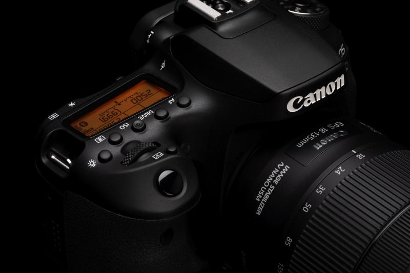  - Canon EOS 90D | Les photos du réflex numérique